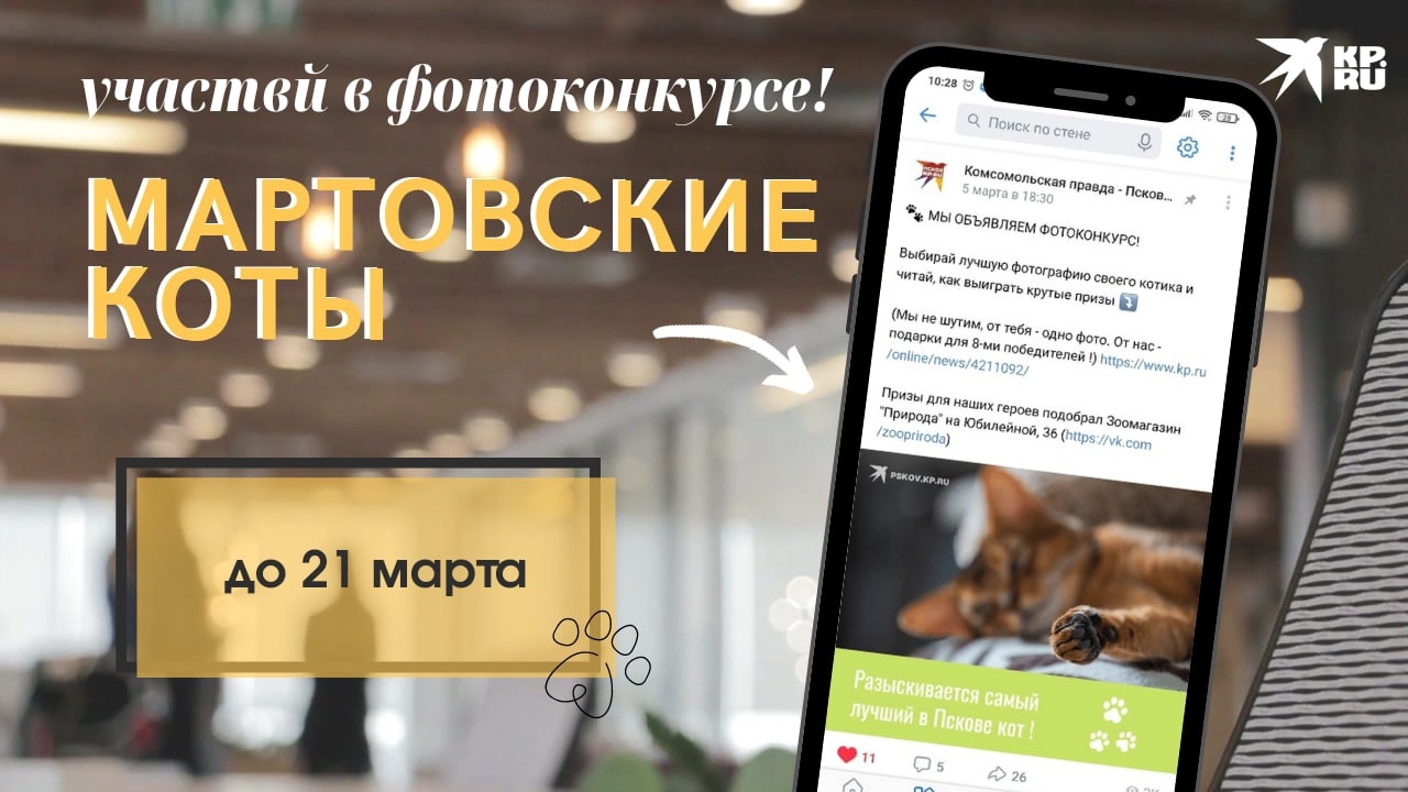 Когтеточка, гамаки, игрушки-треки: что ждет победителей конкурса  «Мартовский кот» - KP.RU